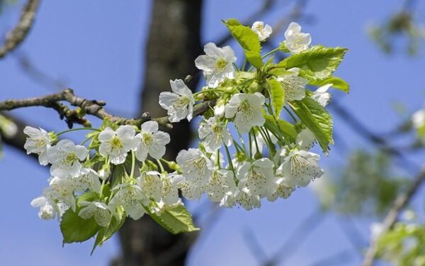 Orai: metas atsisveikinti su vasariška šiluma