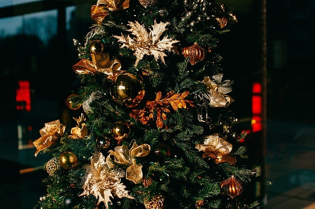 Kalėdinė Eglutė – ne vienintelė Kalėdų tradicija