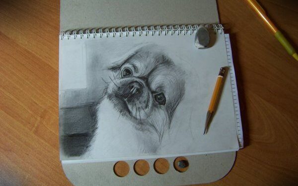 Mantas ir jo piešiniai