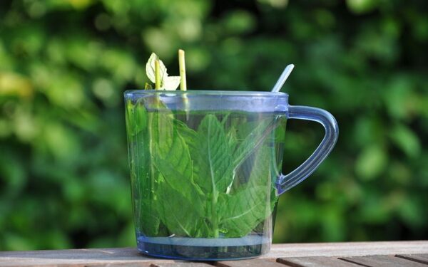 Arbatos pagal Zodiako ženklą (II dalis)