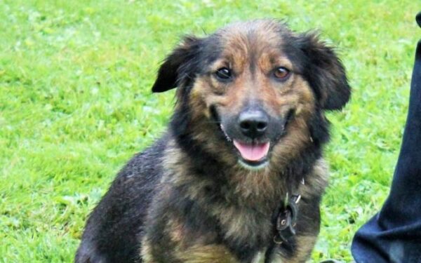 Globotinio pusryčiai: meilioji Čita