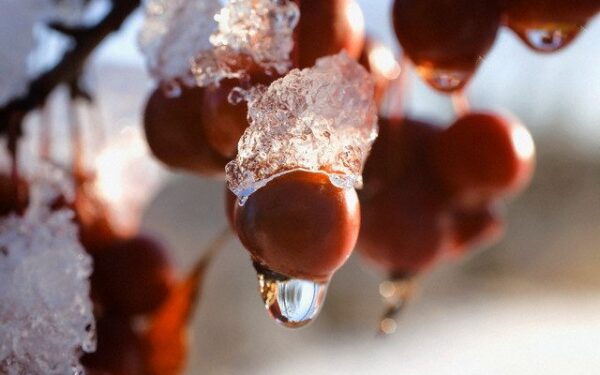 Orai: šilumos banga sujauks visą žiemą