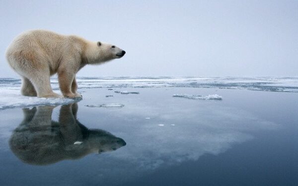 Naujieji palydovai pateikė planetos negalavimų vaizdą