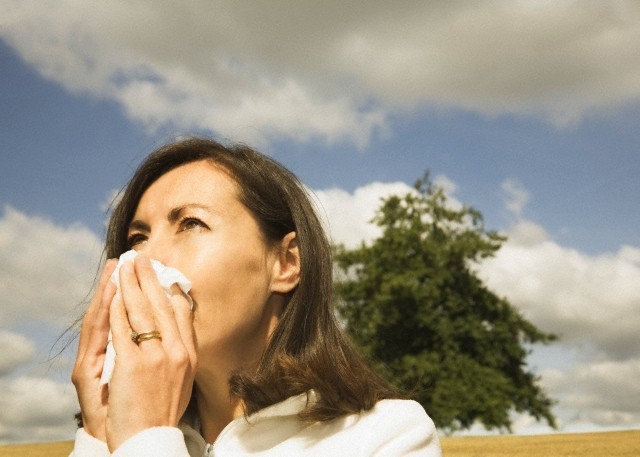Kaip alerginės slogos nesumaišyti su peršalimu?