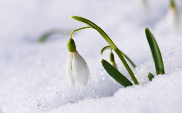 Orai: laukia kardinalūs pokyčiai