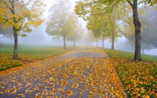 Orai: savaitės pradžioje mirksime lietuje