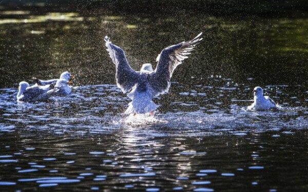Nepastovūs orai mus stebins kasdien