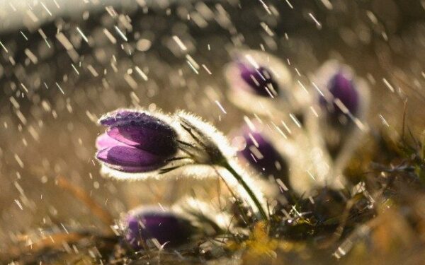 Orai: artinasi ne itin malonūs pokyčiai