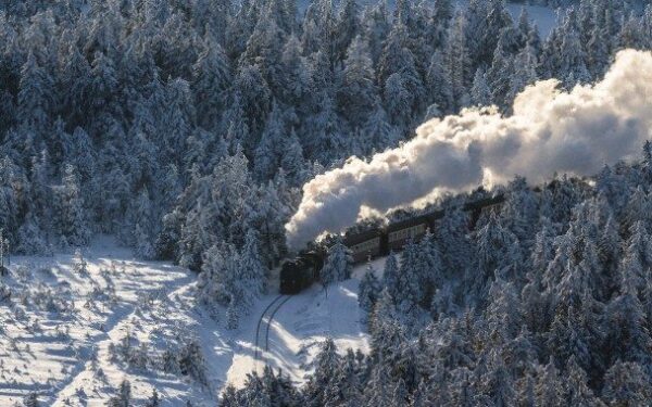 „Mokslo sriuba“: kas būtų, jei užmigtų traukinio mašinistas?