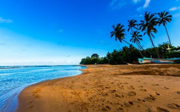 Šri Lanka – kolekcionuojantiems įspūdžius ir besirūpinantiems gyvenimo pilnatve