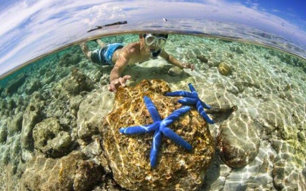 Kodėl žmonės keliauja?