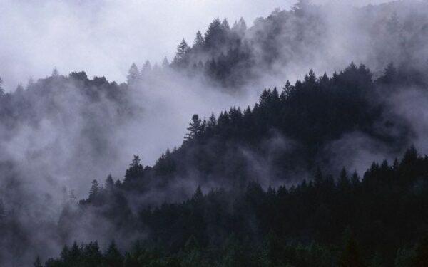 Orai: bus šilta, bet vėjuota