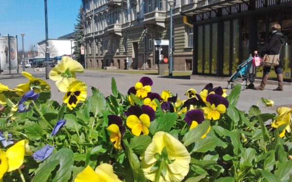 Trečiadienio ir ketvirtadienio naktimis paspaus šaltukas