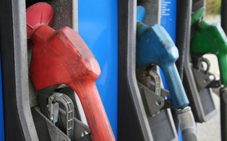 EKO žygio dalyviai į Taliną nuvažiavo tikrai pigiai