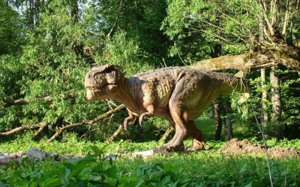 Netradiciškas savaitgalis pajūryje pagal „Samsung Galaxy S4“ vasaros reporterę Justiną (foto)