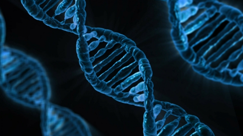 DNR revoliucija mokslininkams atveria naujas galimybes apsaugoti žmoniją
