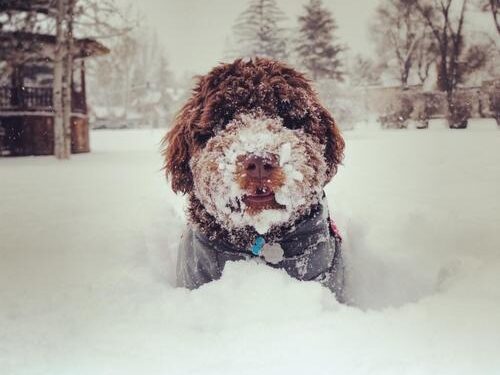 Po speigo laukia sniegas, šaltis atlėgs