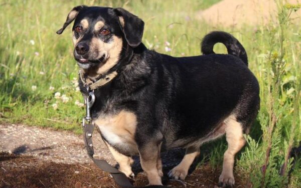 Globotinio pusryčiai: mieliausioji optimistė Dona