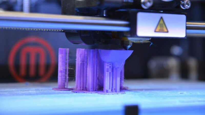 Pažintis su inžinerija: nuo 3D technologijų iki tarakonų lenktynių (foto)
