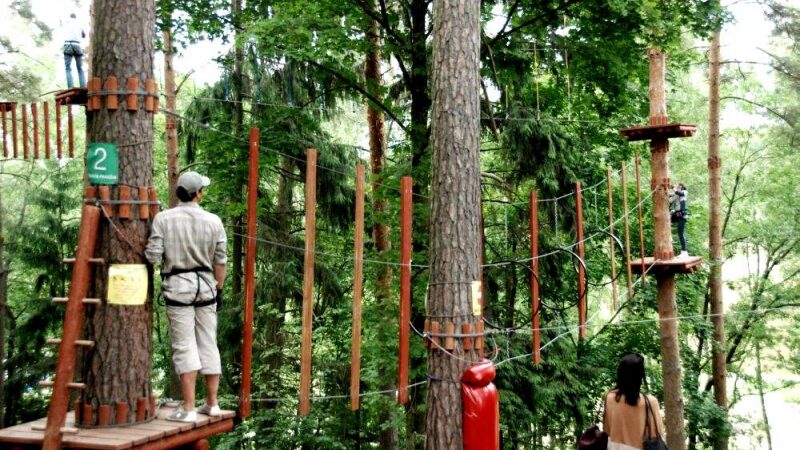 „Tarzanija“  – adrenalino dozė medžiuose ir skrendant virš Nemuno (Foto)