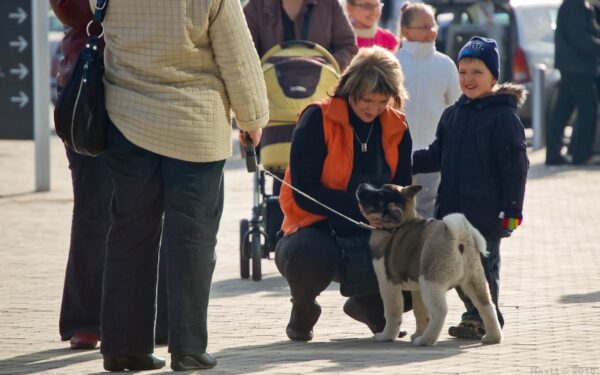 Savaitgalį Šiauliuose aidėjo šunų lojimas (foto)