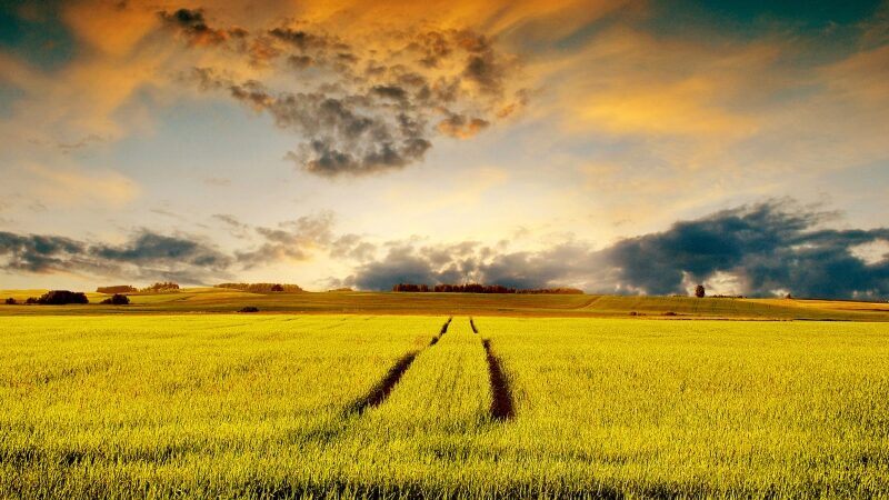 Talentų banke — gamtos fotografas Dainius