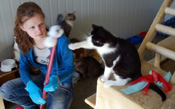 Beglobiai gyvūnai – problema be išeities? (Foto)