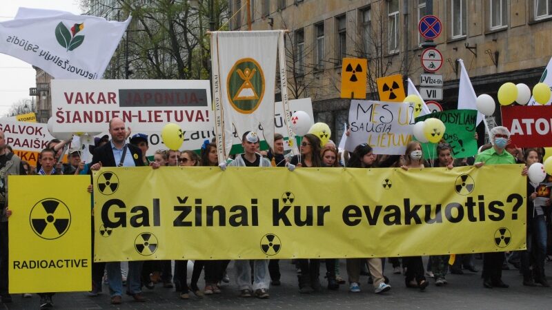 Eitynėse prieš AE statybas – 300 žmonių (Foto)