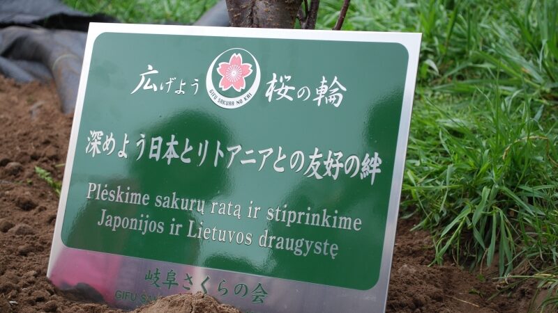 Sostinės sakurų parke – iškilminga medelių sodinimo ceremonija (Foto)