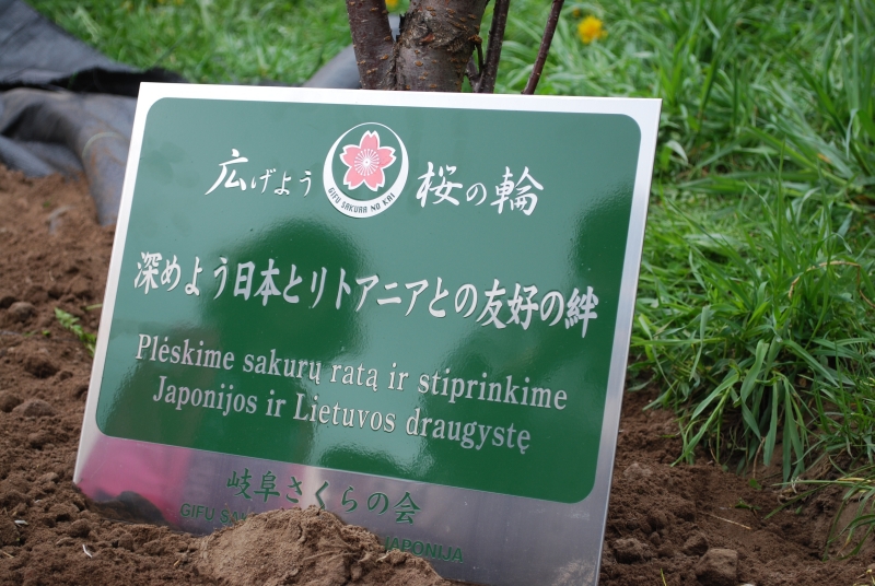 Sostinės sakurų parke – iškilminga medelių sodinimo ceremonija (Foto)