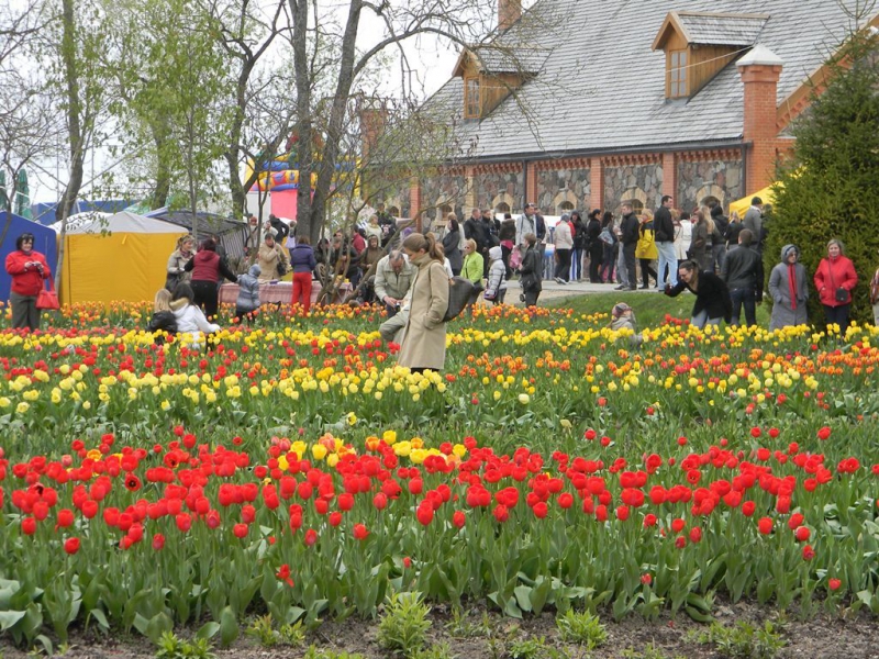 Tulpių žydėjimo šventė Burbiškio dvare (Foto)