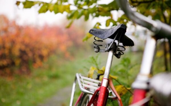 Ko tikėtis iš dangaus savaitgalį?