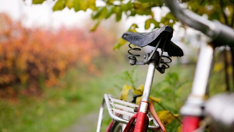 Ko tikėtis iš dangaus savaitgalį?