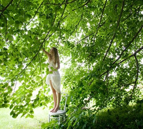 Ekologinių ženklų kosmetikoje atmintinė