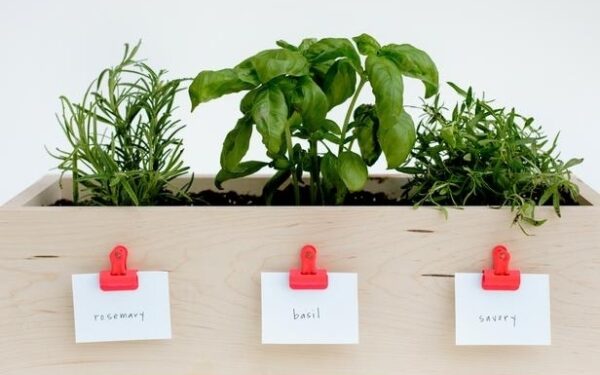 Pasidaryk pats: spalvingos žaliojo kampelio idėjos