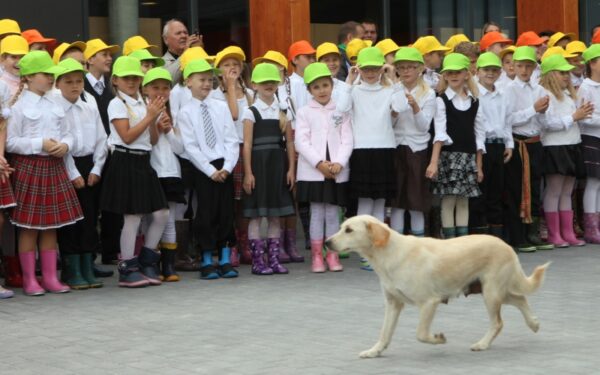 Vilniuje, Balsiuose, atidaryta nauja mokykla (Foto)