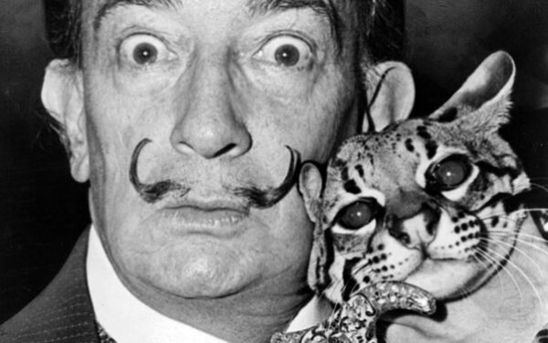 Talentų numylėtiniai: įžymūs kūrėjai ir jų katės (foto)