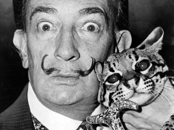 Talentų numylėtiniai: įžymūs kūrėjai ir jų katės (foto)