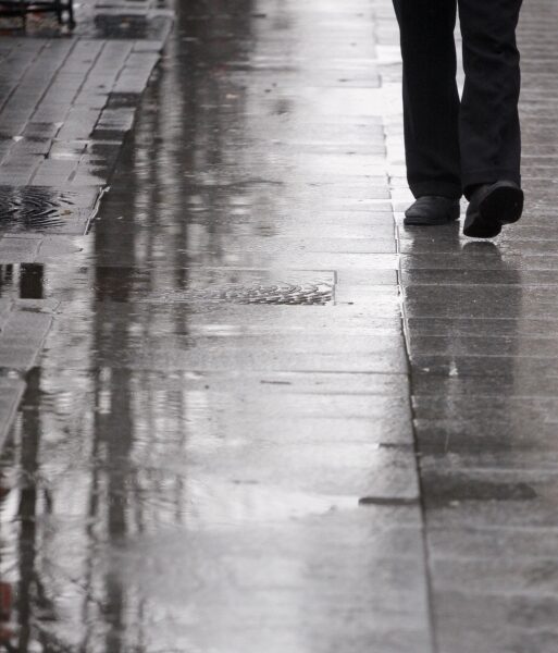 Gegužė prasidėjo lietingu oru (Foto)