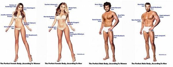 Ideali vyro ir moters figūra vyrų ir moterų akimis