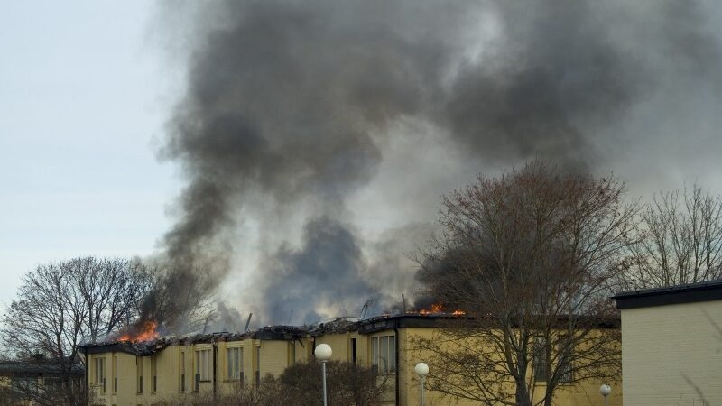Tylos siena: kaip liepsną užgesinti garsu? (Video)