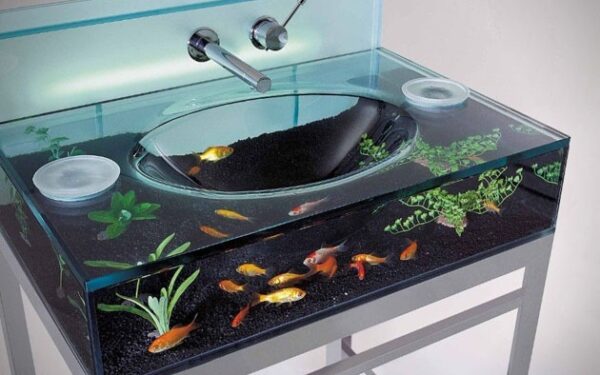 Daiktų pusryčiai. Akvariumas-kriauklė (foto)