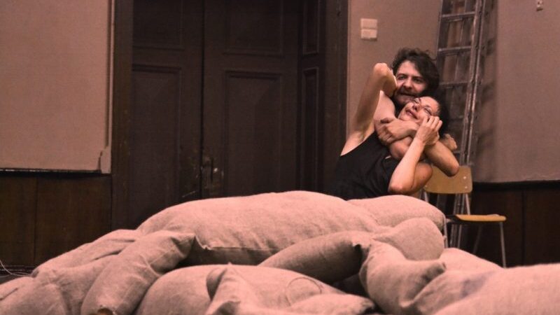 Lietuvos pajūryje pastebėtas siautėjantis Kaligula