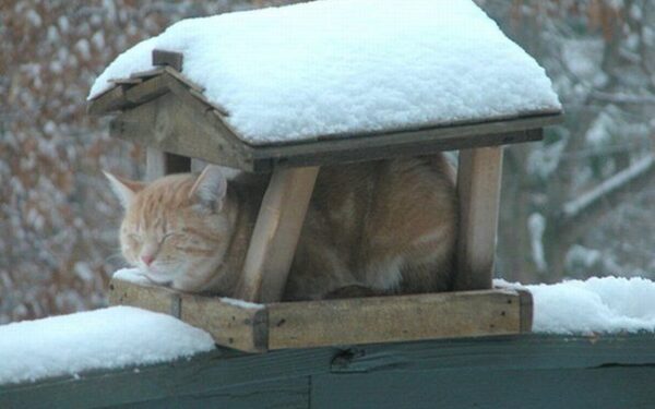 Savaitgalį šaltis pailsėti neleis
