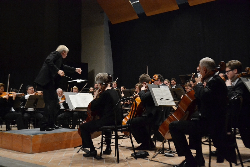 Gintaro Rinkevičiaus gerbėjos fotoreportažas iš Italijoje vykusio koncerto