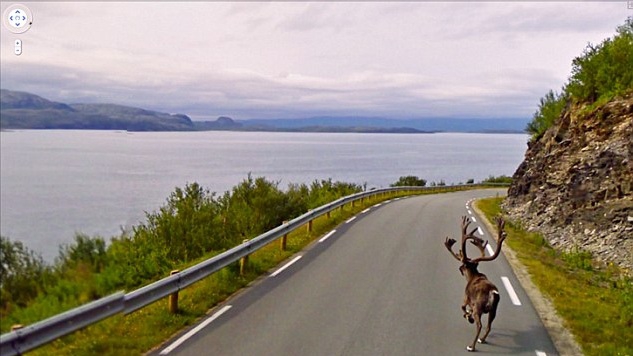 Įdomiausi „Google Street View“ kadrai: nuo prostitučių iki tvorose užstrigusių šunų (Foto)