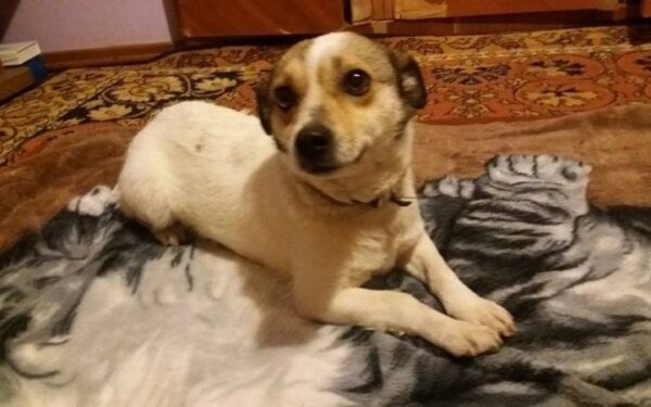 Globotinio pusryčiai: Fusi ieško patikimo ir mylinčio žmogaus