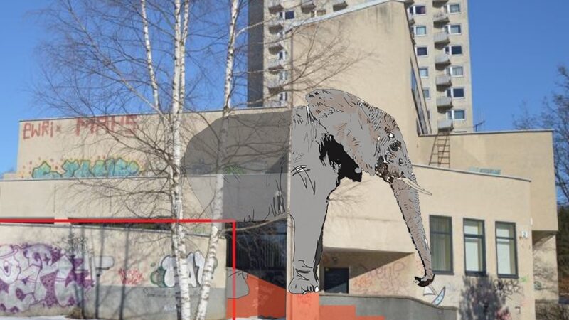 Dramblio šešėlis iš Didžiosios Britanijos betoninėse Vilniaus džiuglėse (interviu)