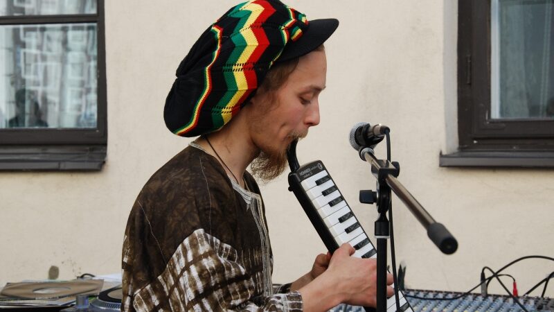 Gatvės muzikantą policija „mokė“ elektros šoku