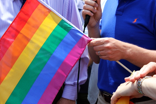 Lietuvoje homoseksualiose porose vaikai JAU auga. Kokios jų teisės?